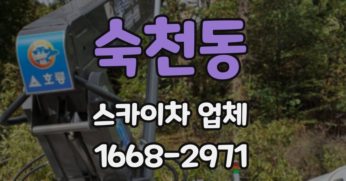 숙천동 스카이차 업체