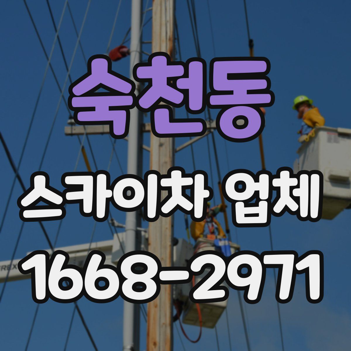 숙천동 스카이차 업체