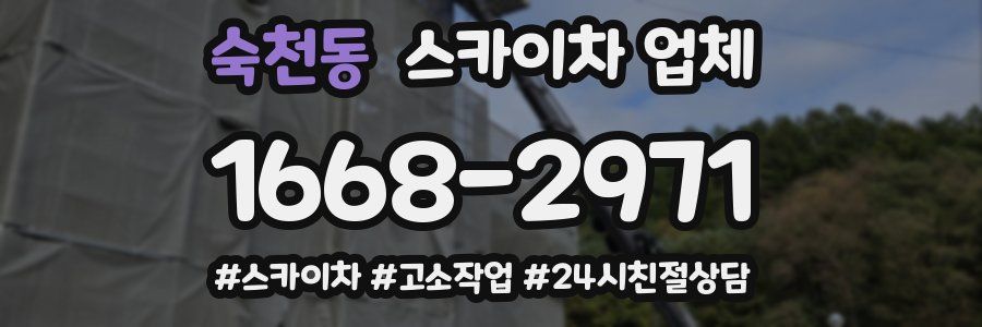 숙천동 스카이차 업체
