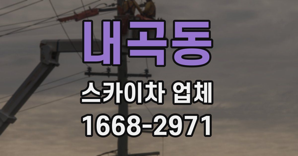 내곡동 스카이차 업체