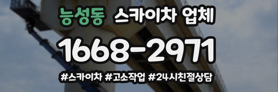 능성동 스카이차 업체
