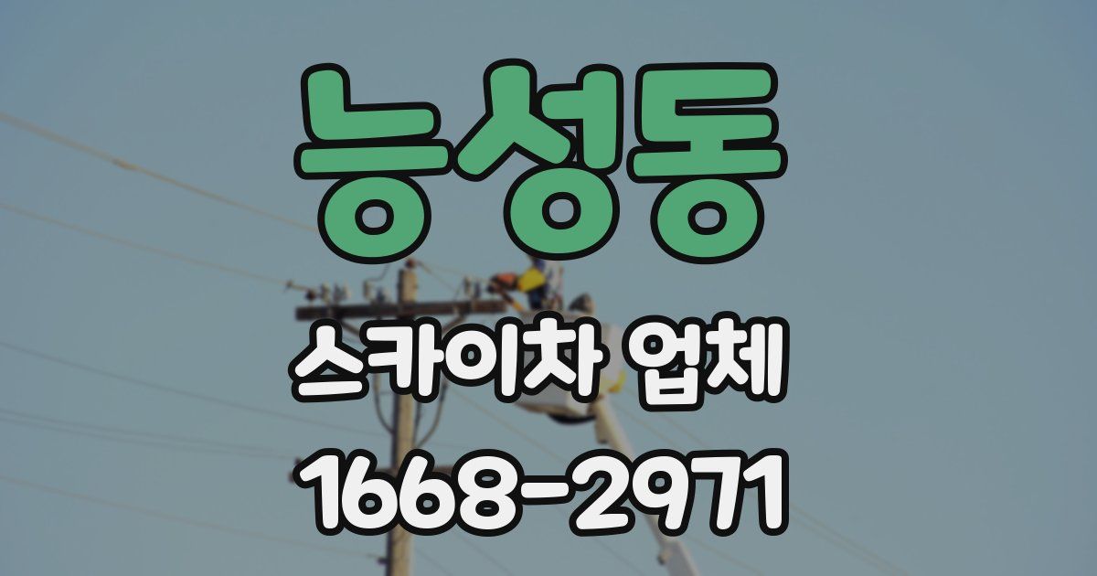 능성동 스카이차 업체