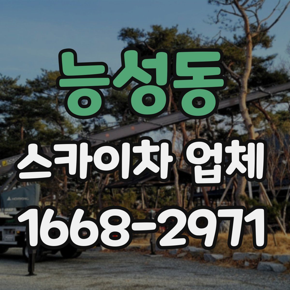 능성동 스카이차 업체