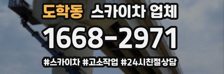 도학동 스카이차 업체