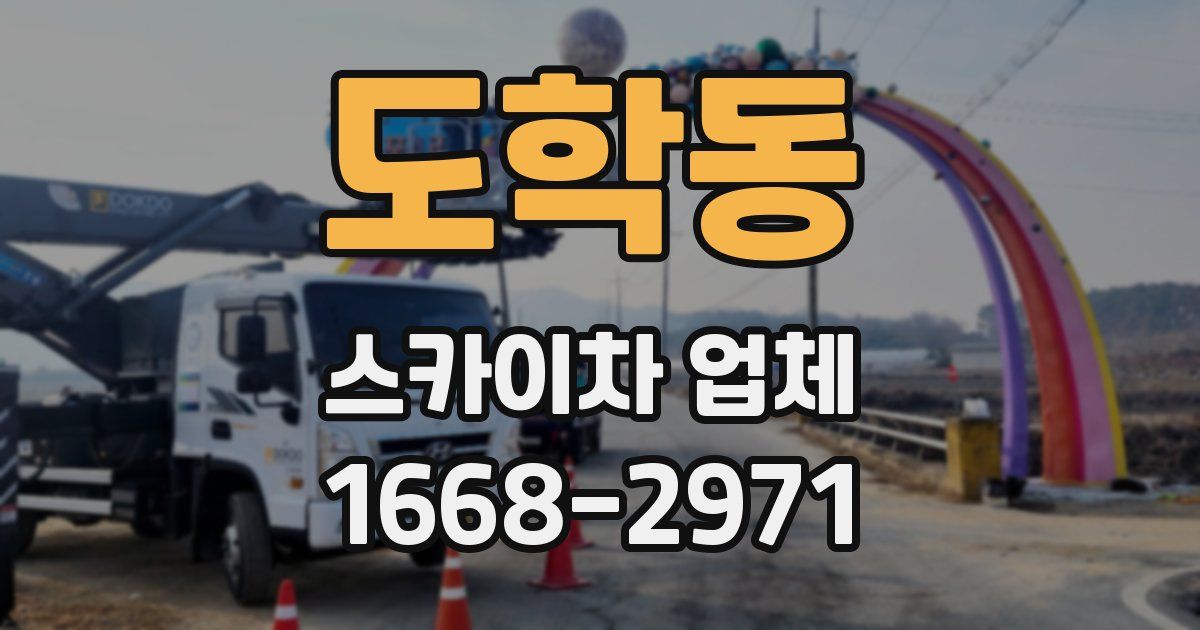 도학동 스카이차 업체