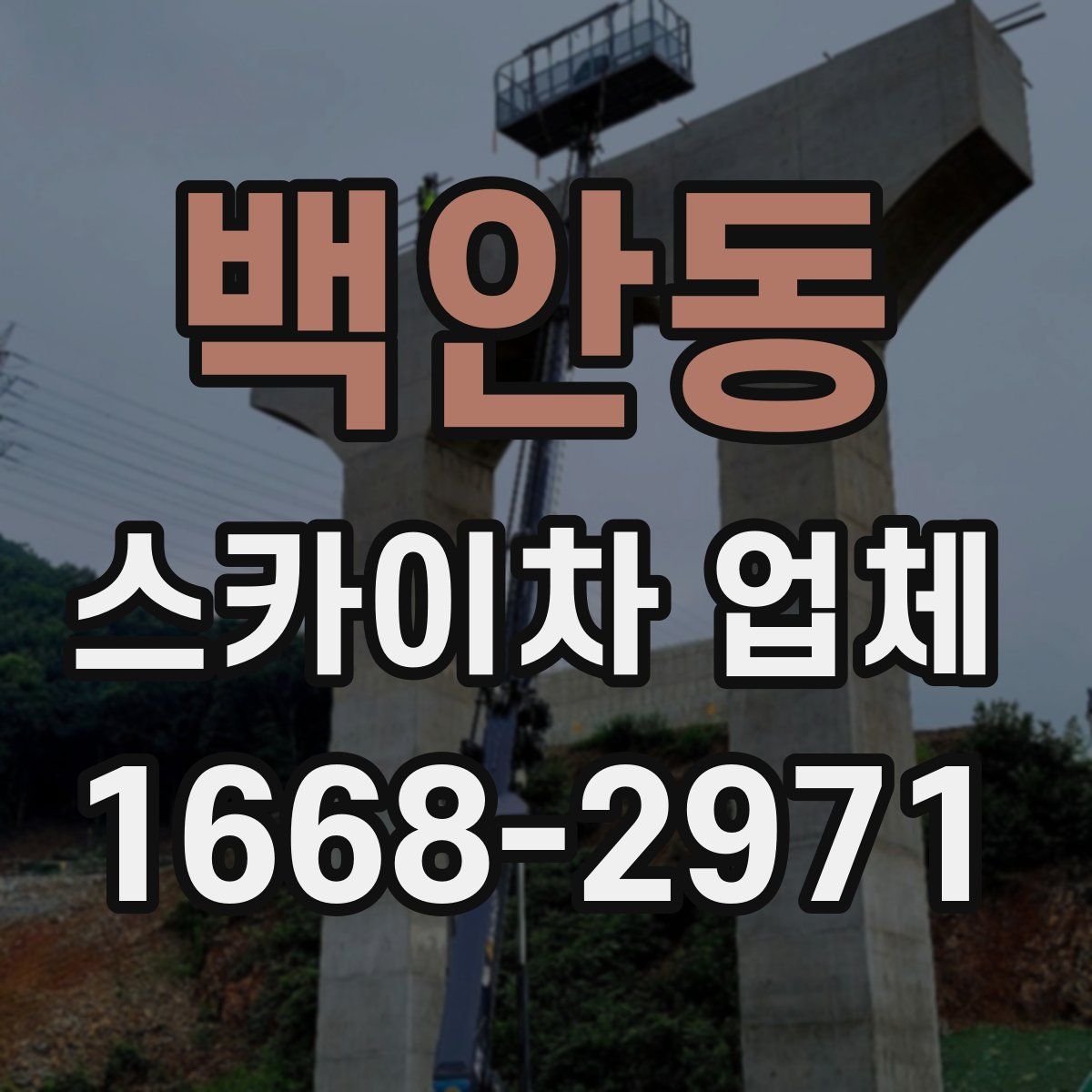 백안동 스카이차 업체