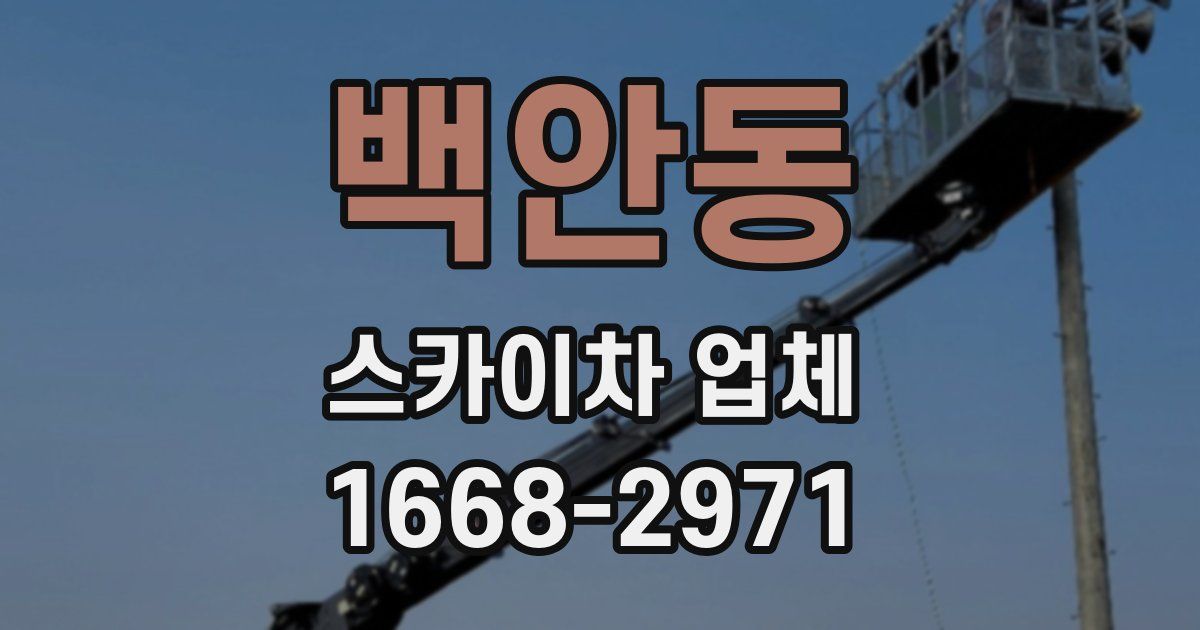 백안동 스카이차 업체