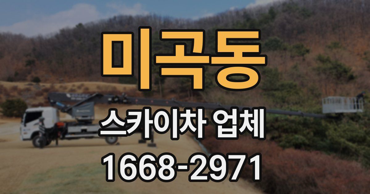 미곡동 스카이차 업체