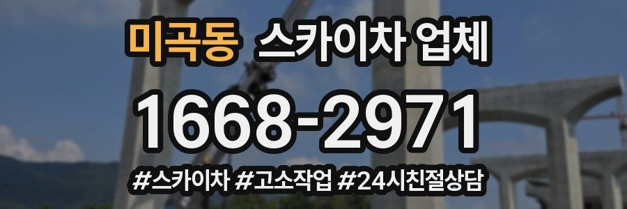 미곡동 스카이차 업체