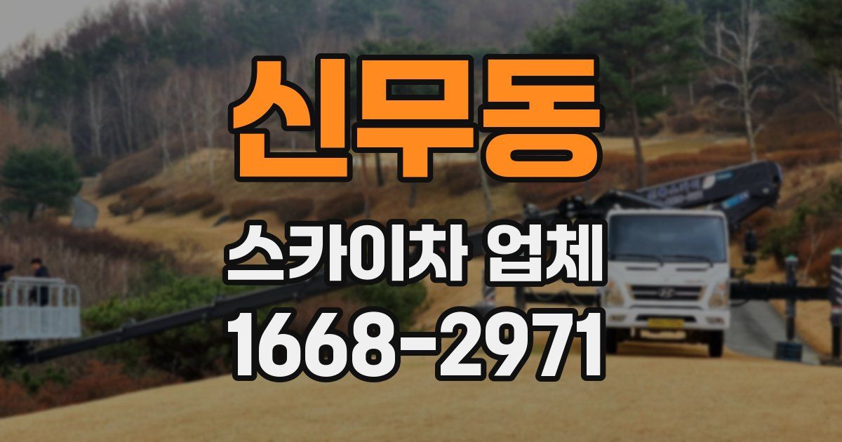 신무동 스카이차 업체