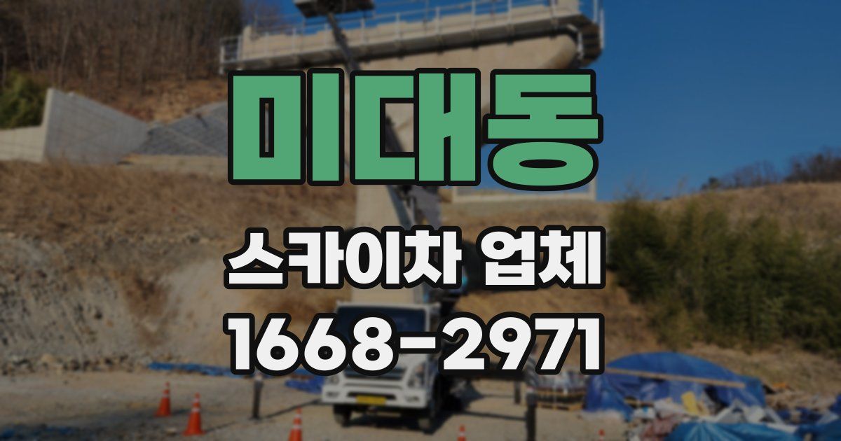 미대동 스카이차 업체
