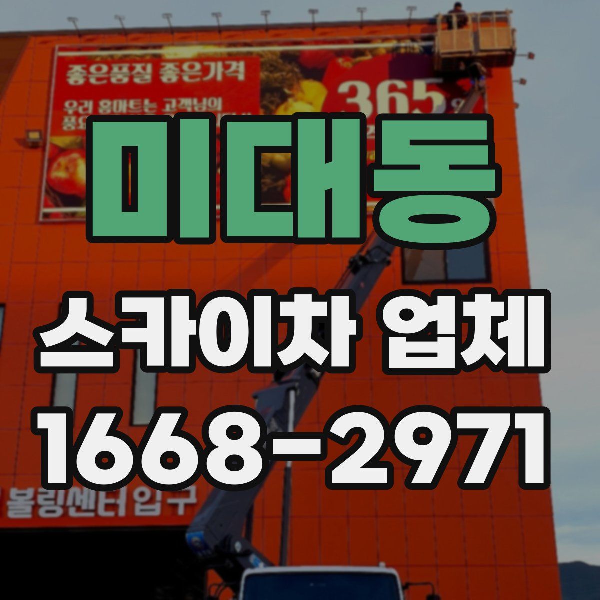 미대동 스카이차 업체