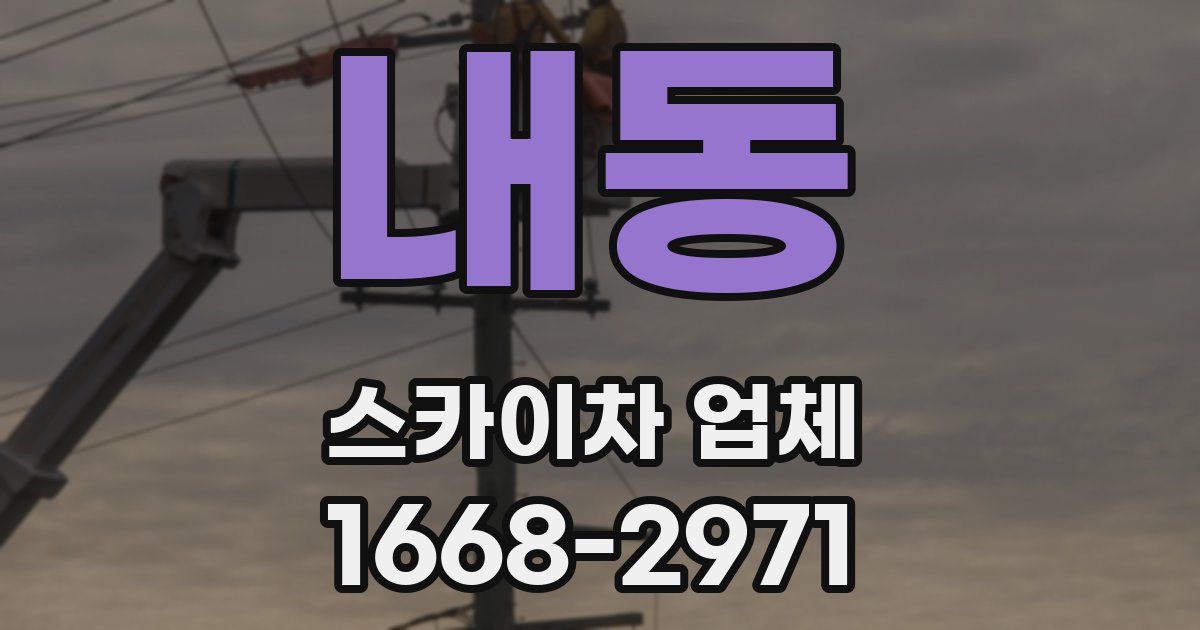 내동 스카이차 업체