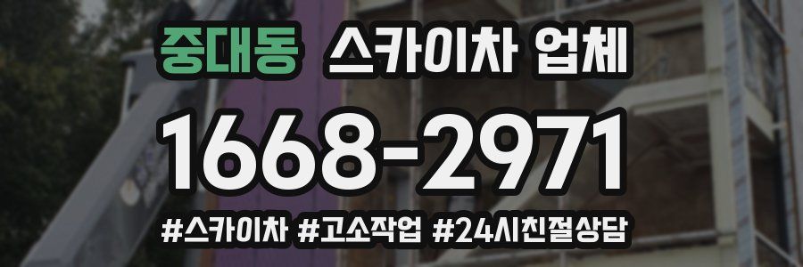 중대동 스카이차 업체