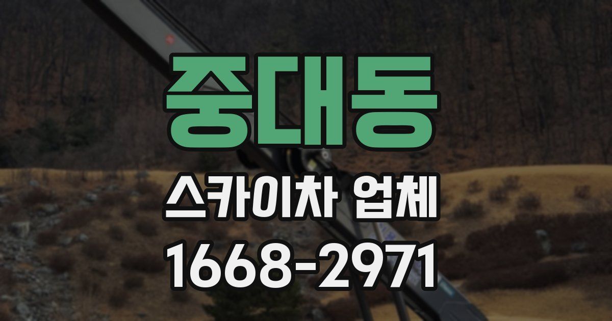 중대동 스카이차 업체