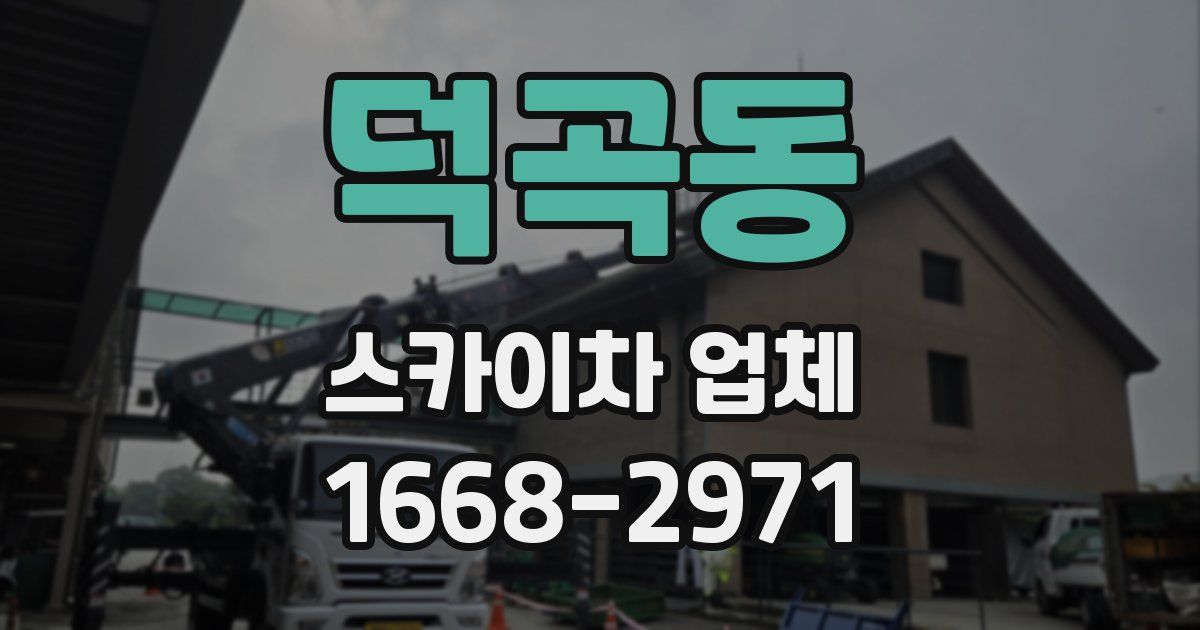 덕곡동 스카이차 업체