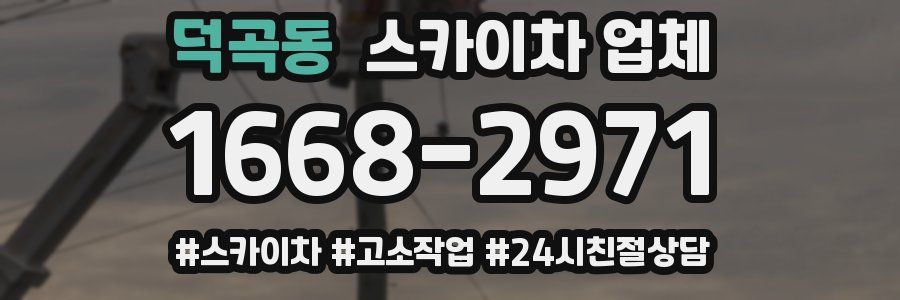 덕곡동 스카이차 업체