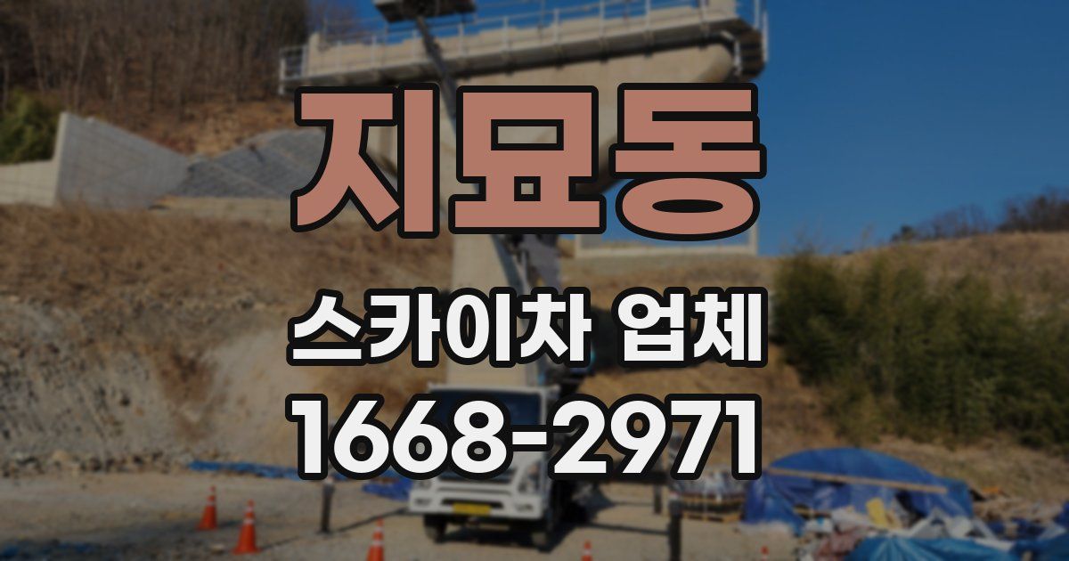 지묘동 스카이차 업체