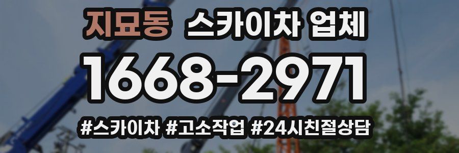 지묘동 스카이차 업체