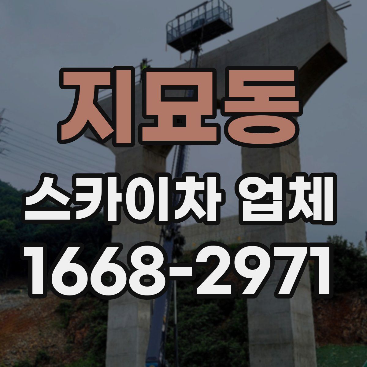 지묘동 스카이차 업체