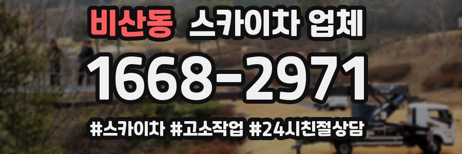 비산동 스카이차 업체