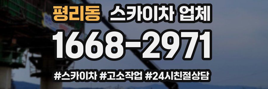 평리동 스카이차 업체