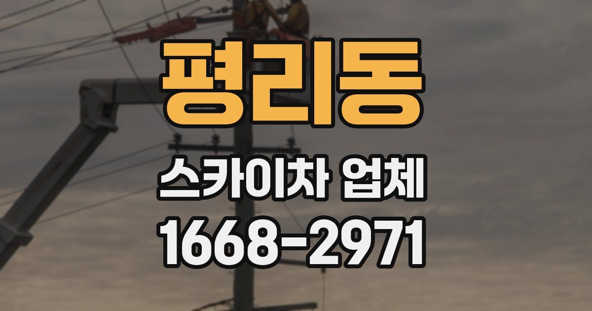 평리동 스카이차 업체