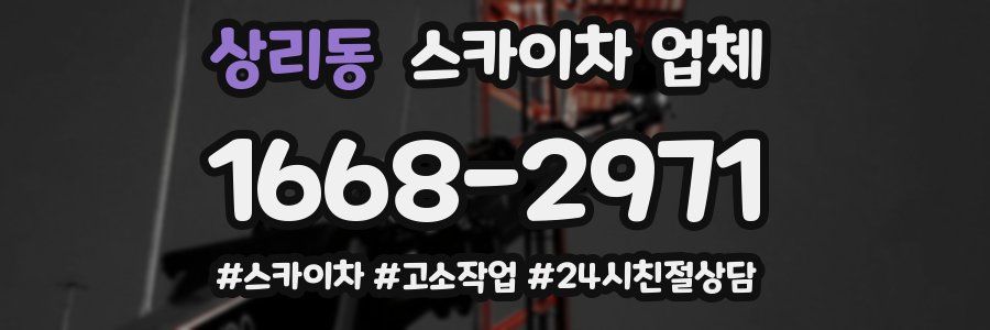 상리동 스카이차 업체