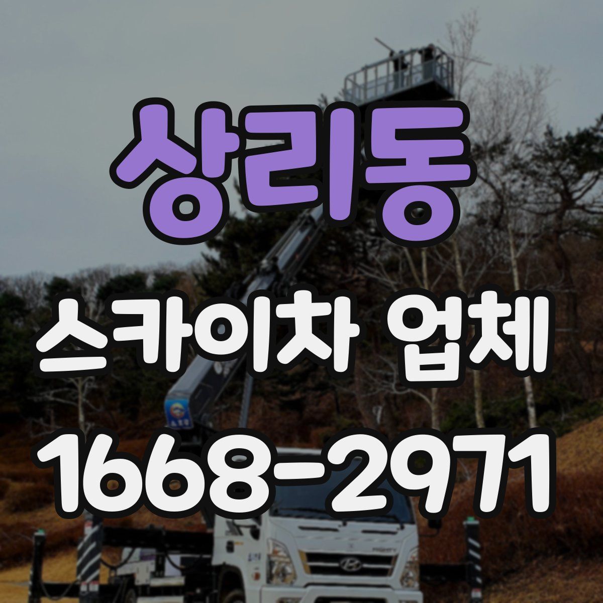 상리동 스카이차 업체