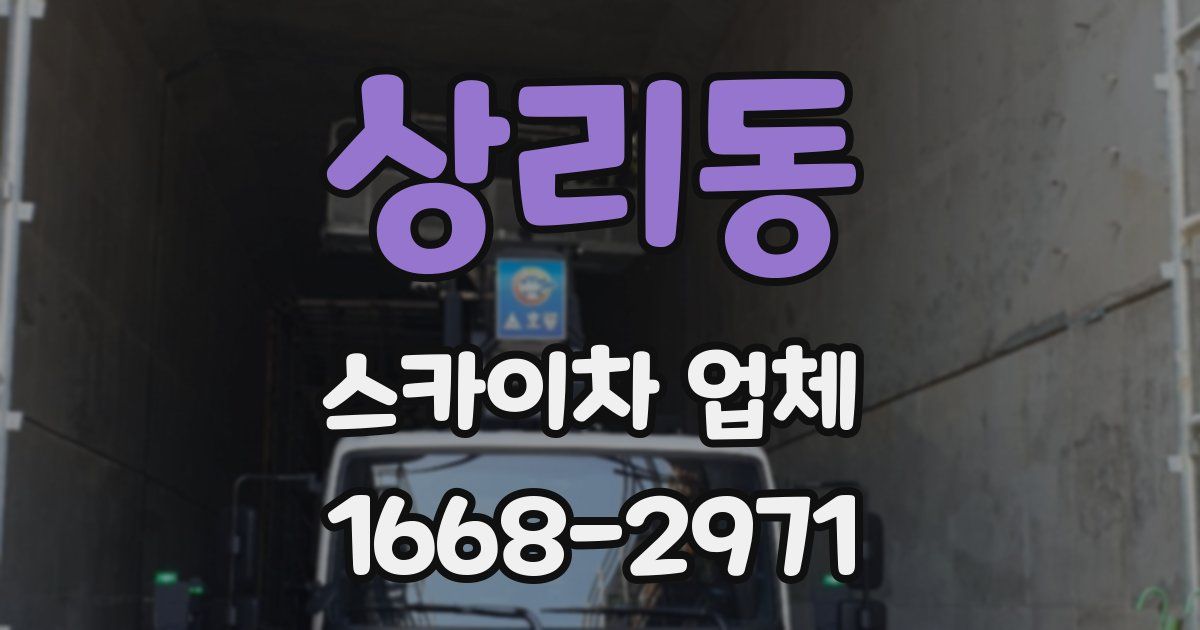 상리동 스카이차 업체