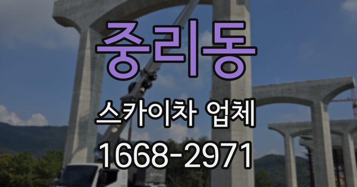 중리동 스카이차 업체