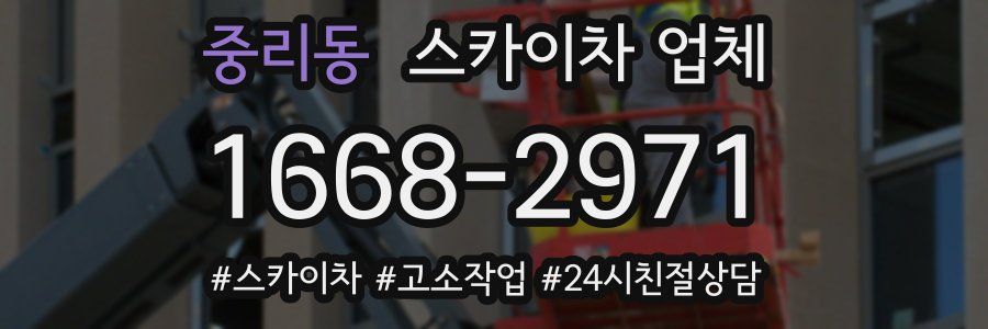 중리동 스카이차 업체