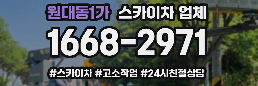 원대동1가 스카이차 업체