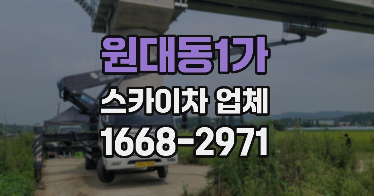 원대동1가 스카이차 업체