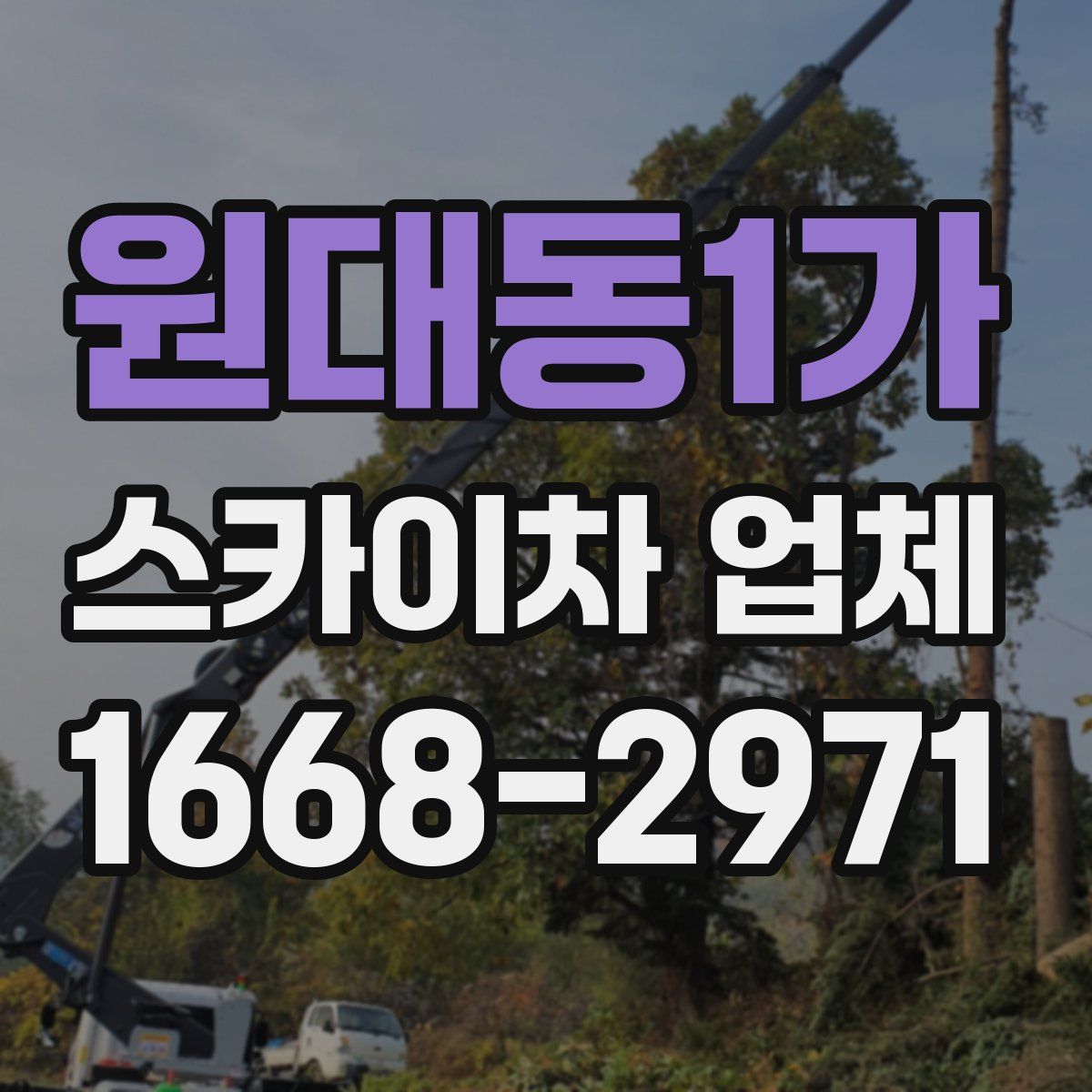 원대동1가 스카이차 업체