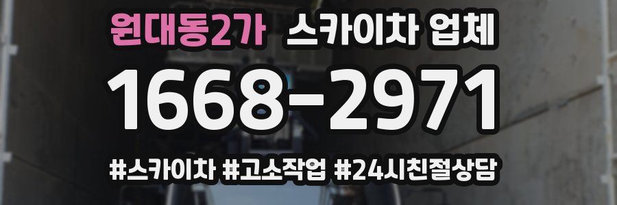 원대동2가 스카이차 업체