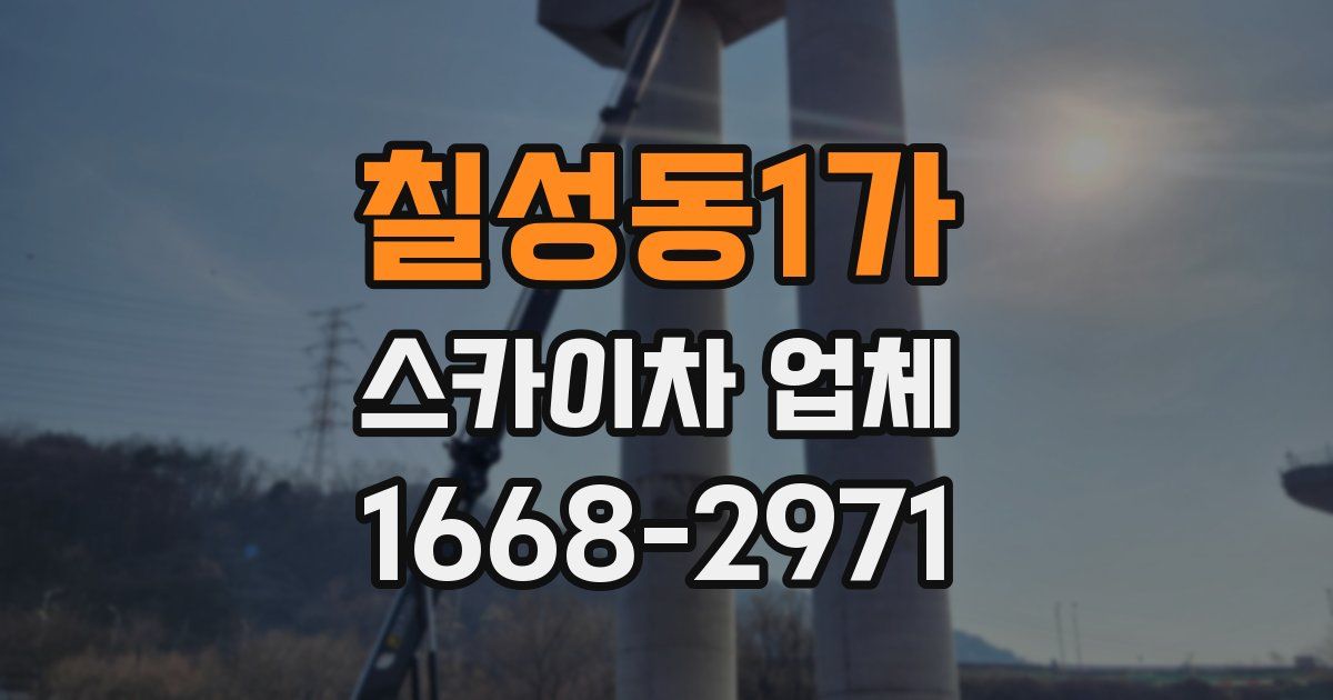 칠성동1가 스카이차 업체