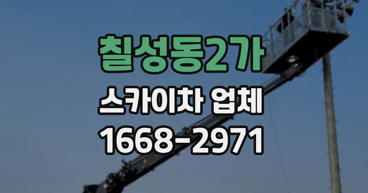 칠성동2가 스카이차 업체