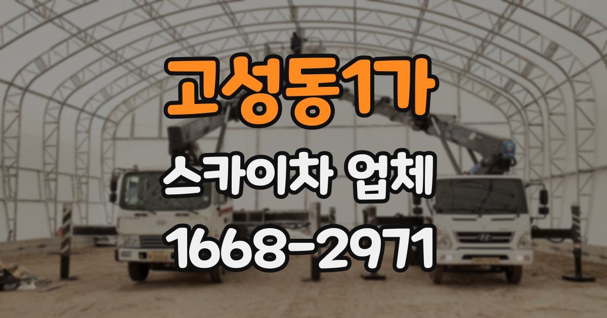 고성동1가 스카이차 업체