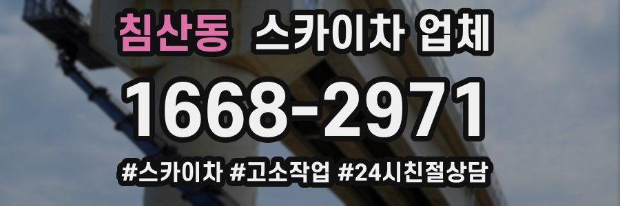 침산동 스카이차 업체