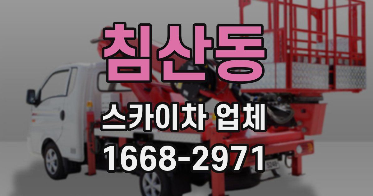 침산동 스카이차 업체
