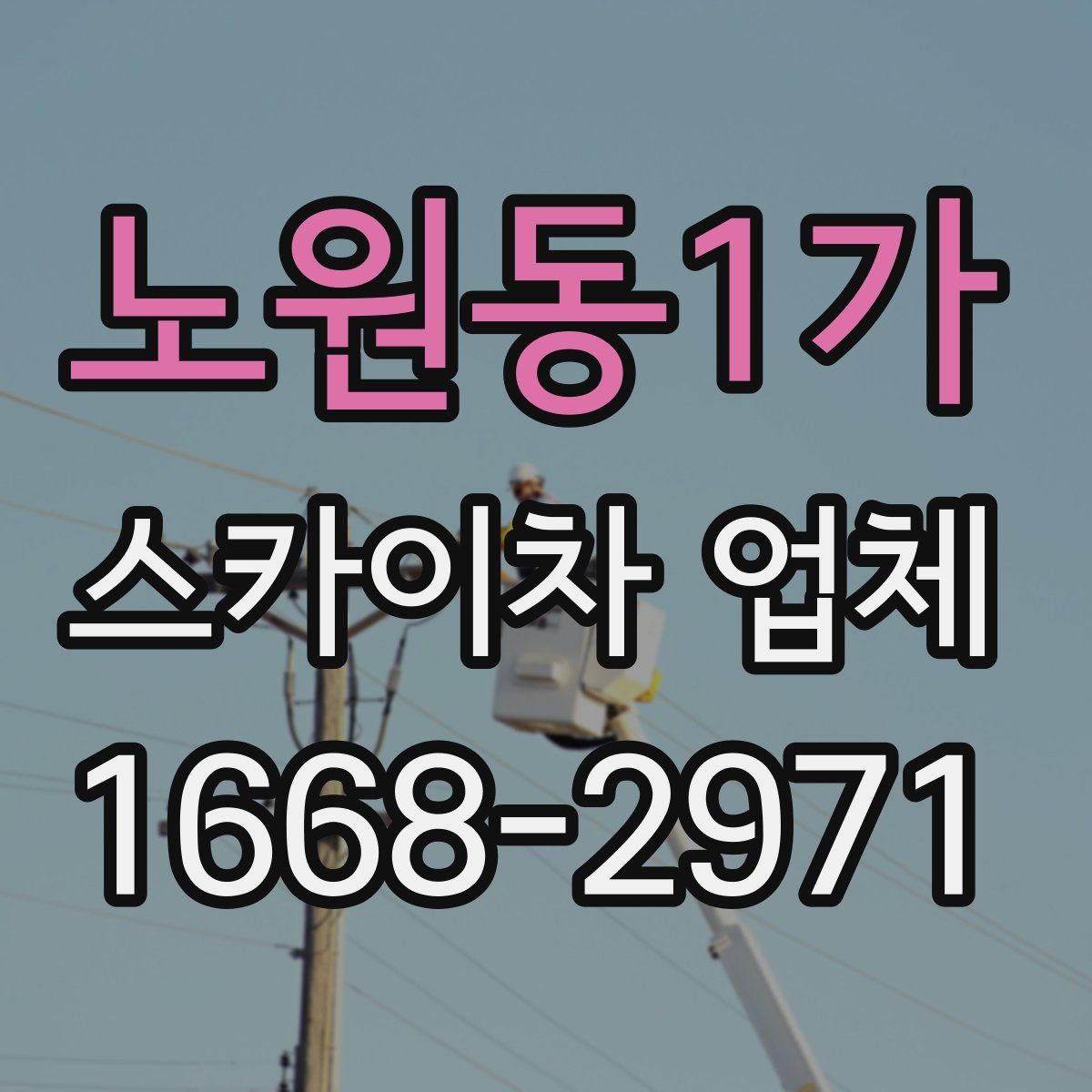 노원동1가 스카이차 업체