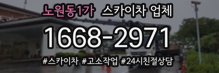 노원동1가 스카이차 업체