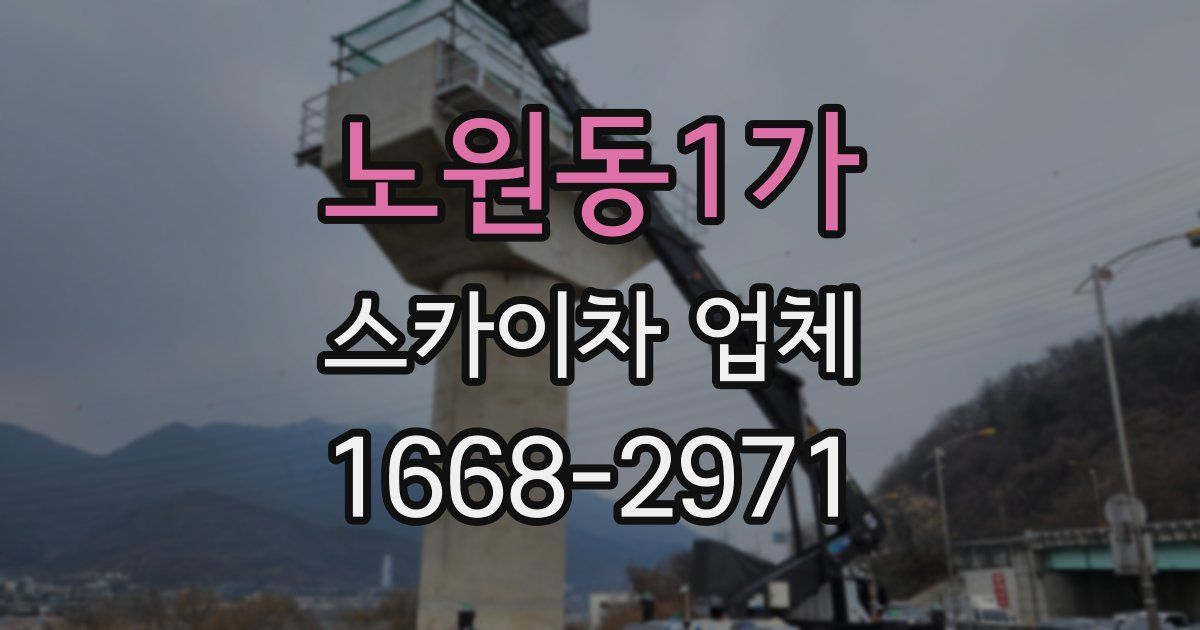 노원동1가 스카이차 업체