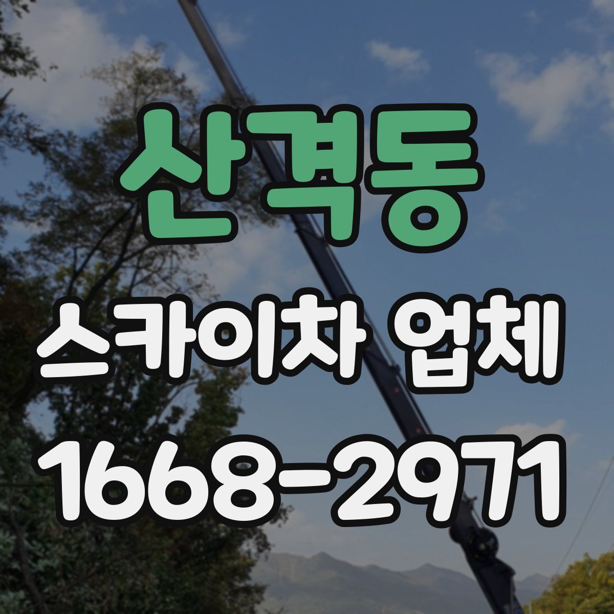 산격동 스카이차 업체