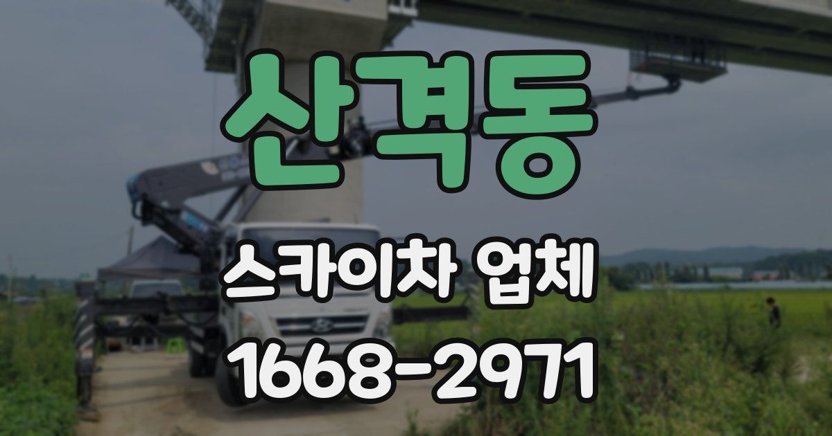산격동 스카이차 업체