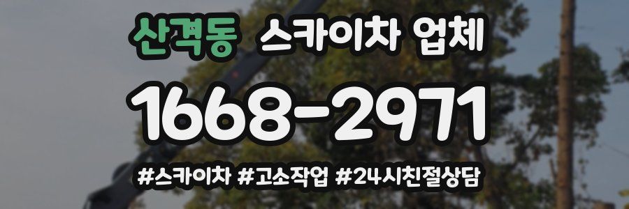 산격동 스카이차 업체