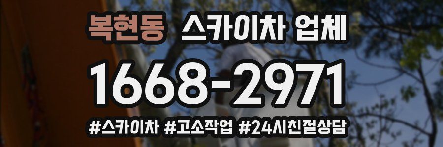 복현동 스카이차 업체