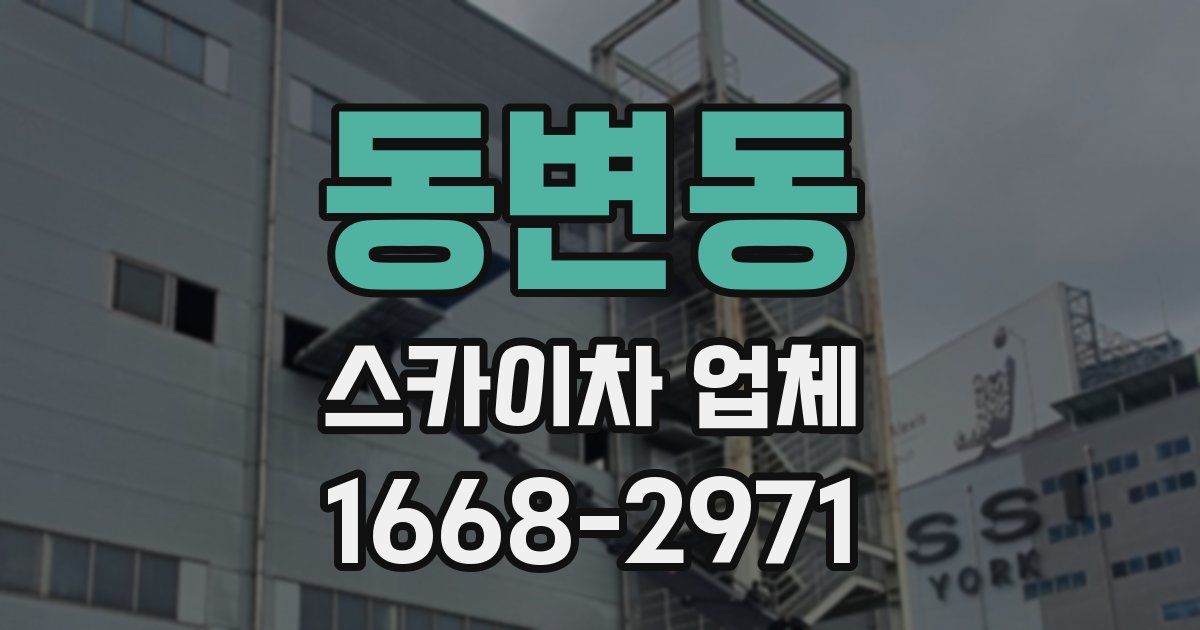 동변동 스카이차 업체