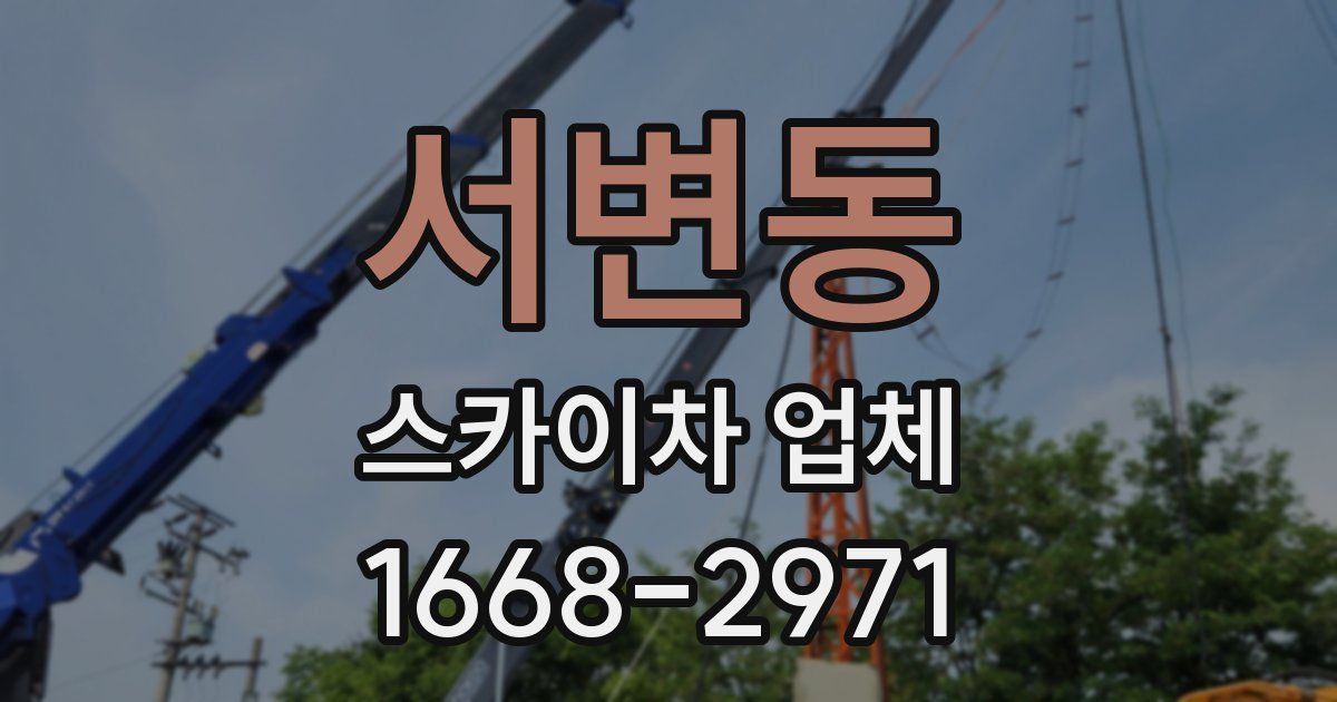 서변동 스카이차 업체